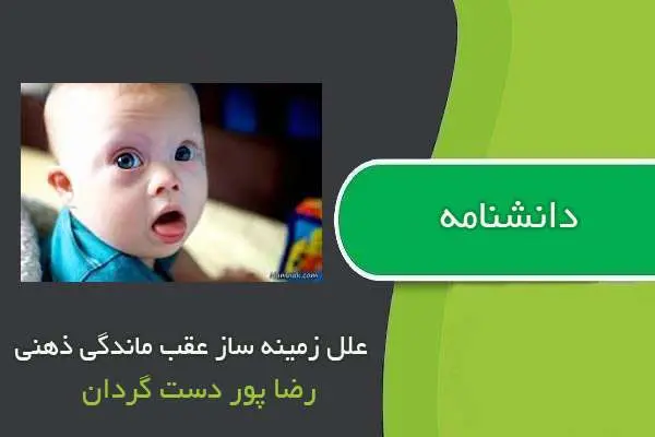 دانلود pdf کتاب دانشنامه علل زمینه ساز عقب ماندگی ذهنی