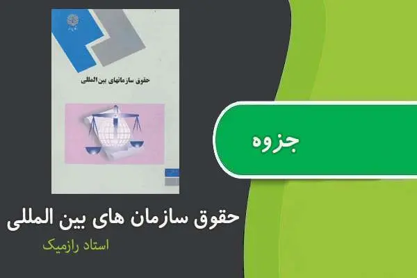 دانلود pdf جزوه حقوق سازمان های بین الملل استاد رازمیک