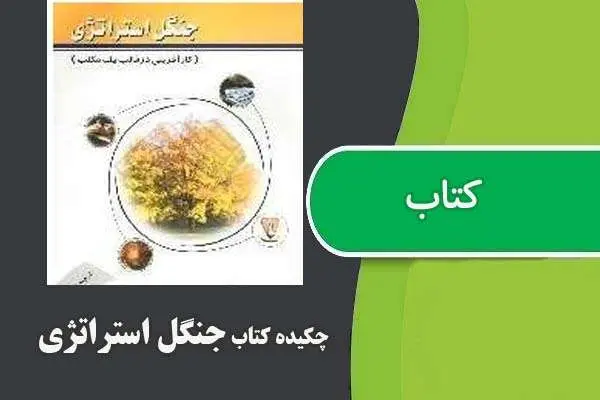 دانلود pdf کتاب جنگل استراتژی (چکیده)