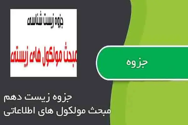 دانلود pdf جزوه زیست دهم مبحث مولکول های اطلاعاتی