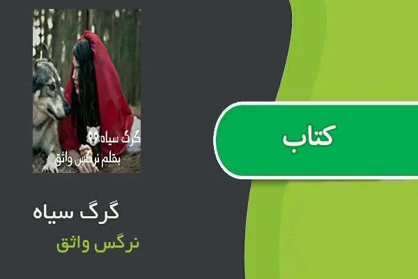 دانلود pdf کتاب گرگ سیاه نرگس واثق