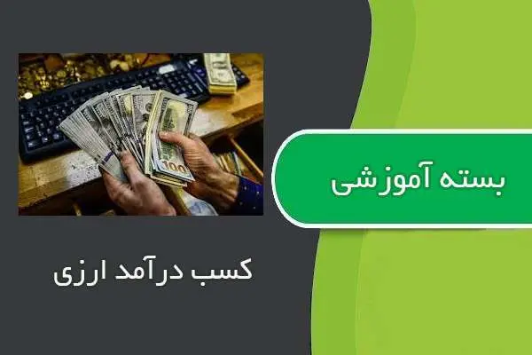 دانلود pdf کتاب پکیج کسب درآمد ارزی روزانه ۱۰۰ دلار