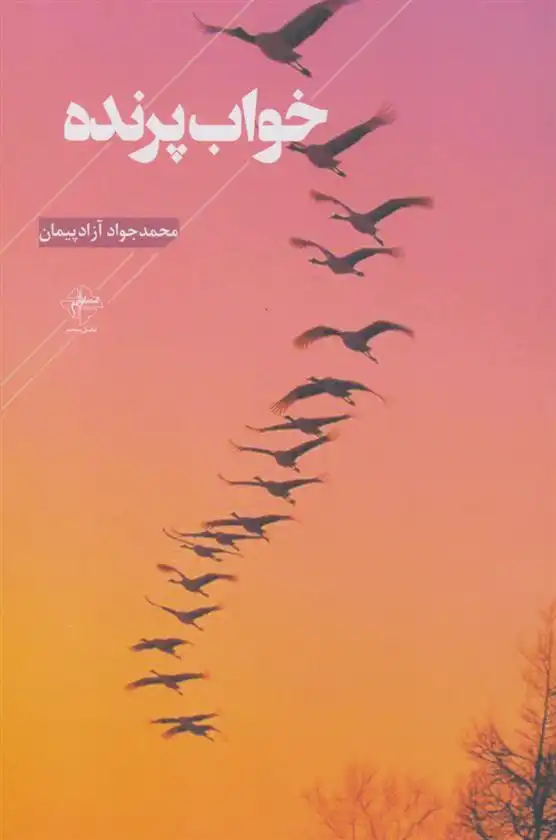 دانلود pdf کتاب خواب پرنده محمدجواد آزادپیمان