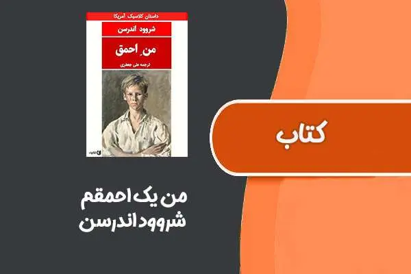 دانلود pdf کتاب من یک احمقم! از شروود اندرسن