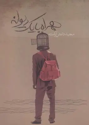 دانلود pdf کتاب همراه با یک دیوانه مجید دانش آراسته