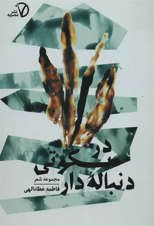 دانلود pdf کتاب در سکوتی دنباله دار فاطمه عطاءالهی