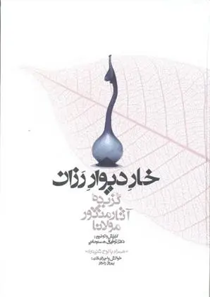 دانلود pdf کتاب خار دیوار رزان جلال الدین محمد بلخی(مولانا)