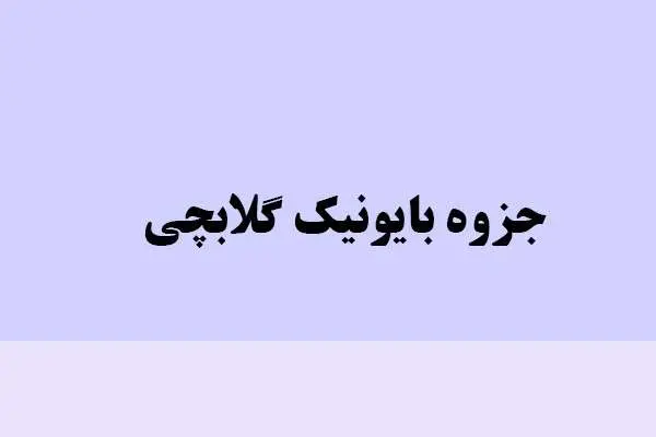 دانلود pdf جزوه بایونیک گلابچی