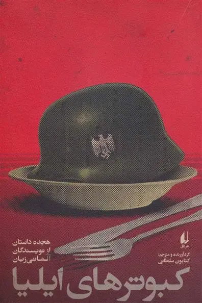 دانلود pdf کتاب کبوترهای ایلیا 