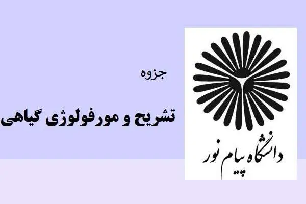 دانلود pdf جزوه تشریح و مورفولوژی گیاهی