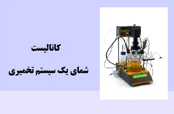 دانلود pdf کتاب کاتالیست شمای یک سیستم تخمیری