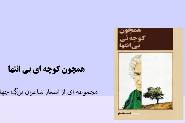 دانلود pdf کتاب همچون کوچه ای بی انتها