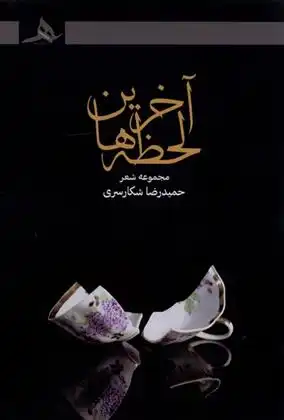 دانلود pdf کتاب آخرین لحظه ها حمیدرضا شکارسری