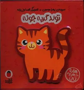 دانلود pdf کتاب تولد گربه جونه زهرا موسوی