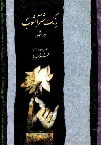 دانلود pdf کتاب رنگ شهرآشوب فرامرز پایور