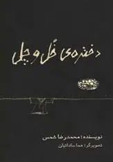 دانلود pdf کتاب دختره ی خل و چل محمدرضا شمس