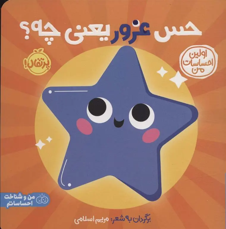 دانلود pdf کتاب حس غرور یعنی چه؟ مریم اسلامی