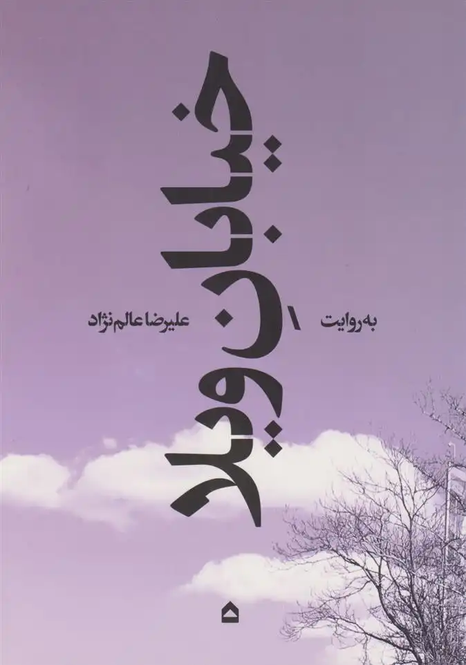 دانلود pdf کتاب خیابان ویلا علیرضا عالم نژاد