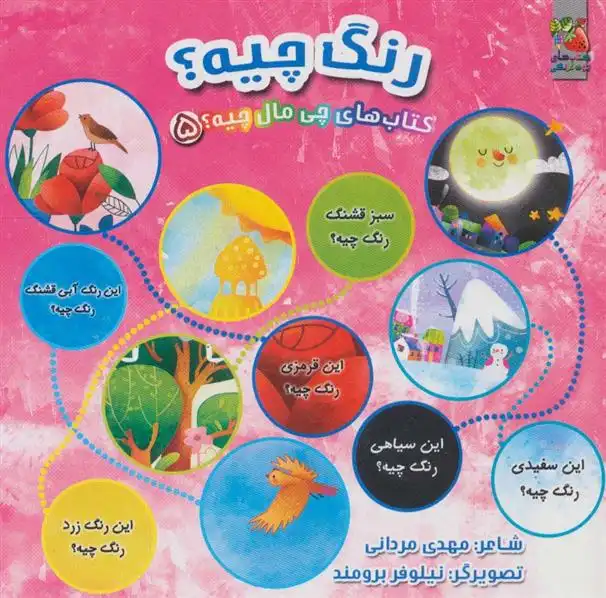 دانلود pdf کتاب رنگ چیه؟ مهدی مردانی