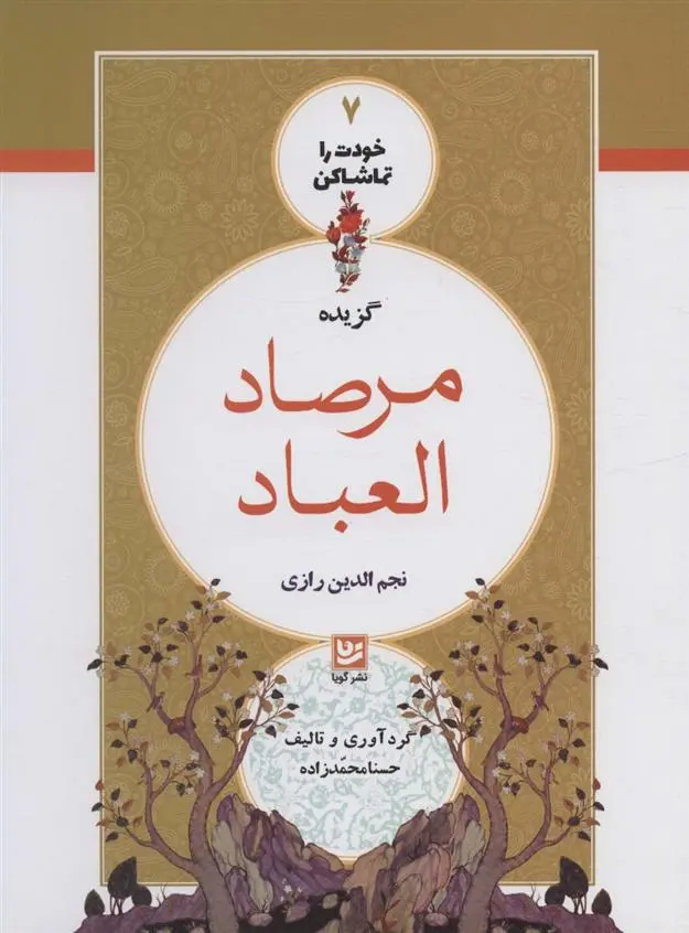 دانلود pdf کتاب گزیده مرصاد العباد حسنا محمدزاده