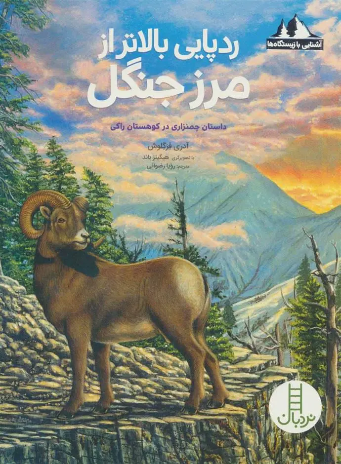 دانلود pdf کتاب ردپایی بالاتر از مرز جنگل آدری فرگلوش