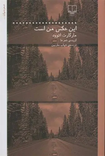 خرید و قیمت کتاب این عکس من است اثر مارگارت آتوود