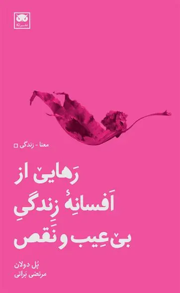 دانلود pdf کتاب رهایی از افسانه زندگی بی عیب و نقص پل دولان