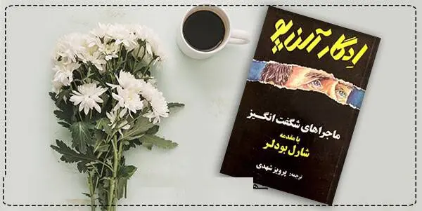 دانلود pdf کتاب ماجراهای شگفت انگیز  ادگار آلن پو