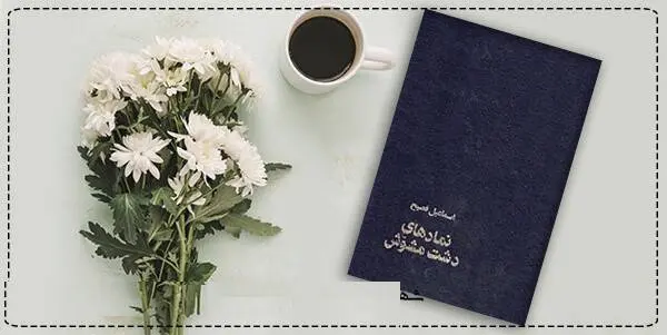 دانلود pdf کتاب  نمادهای دشت مشوش  اسماعیل فصیح