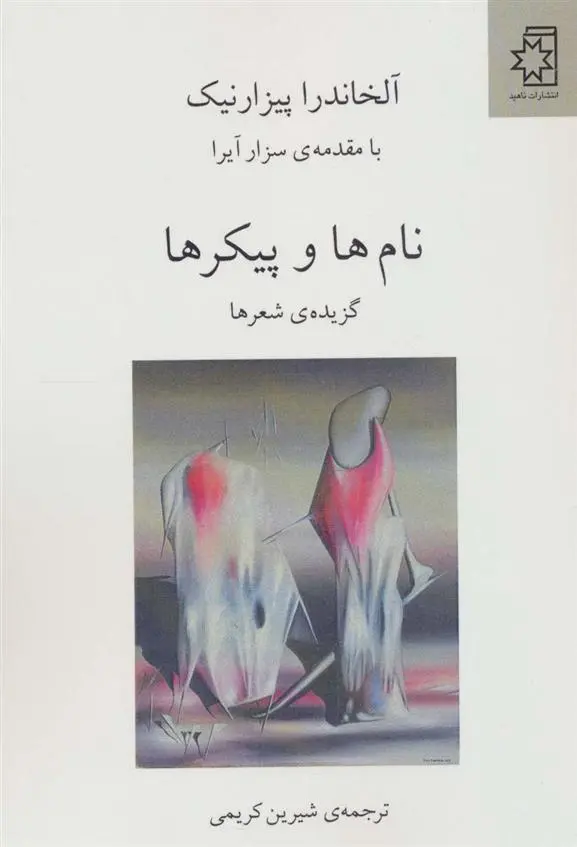 دانلود pdf کتاب نام ها و پیکرها آلخاندرا پیزارنیک