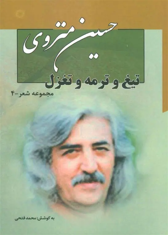 دانلود pdf کتاب تیغ و ترمه و تغزل حسین منزوی