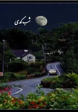 دانلود pdf کتاب  شب کمدی  سیاوش حبیبی رایگان