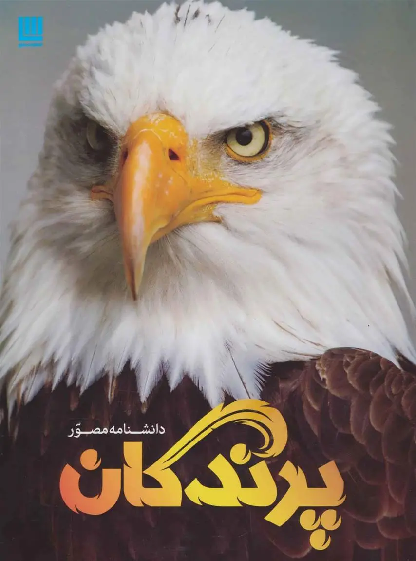 دانلود pdf کتاب دانشنامه مصور پرندگان دیوید برنی