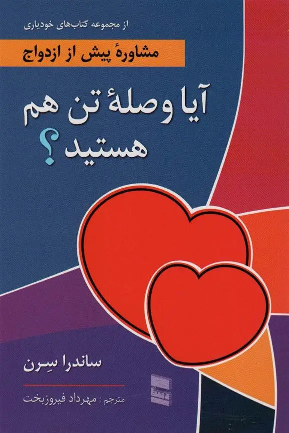 دانلود pdf کتاب آیا وصله تن هم هستید؟ ساندرا ال سرن