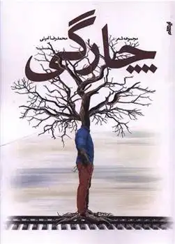 دانلود pdf کتاب چارگی محمدرضا امینی .