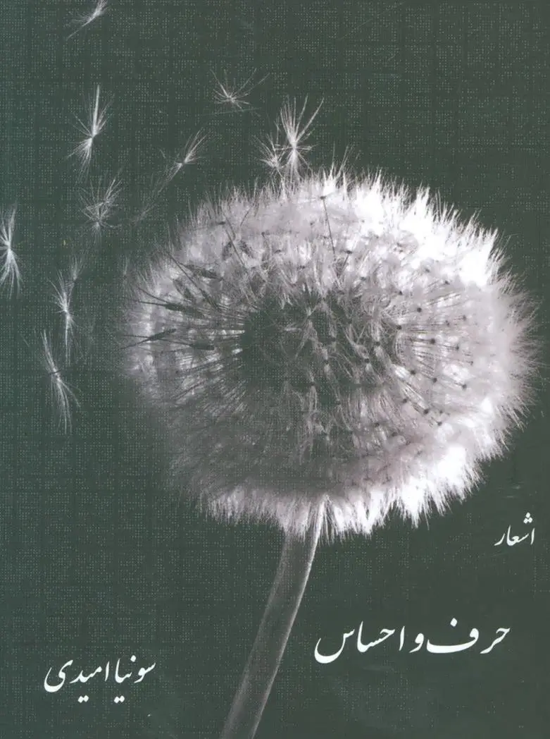 دانلود pdf کتاب حرف و احساس سونیا امیدی