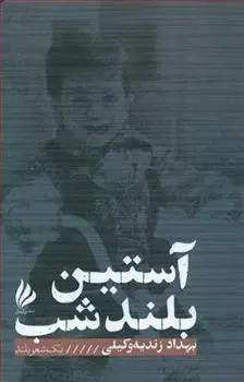 دانلود pdf کتاب آستین بلند شب بهداد زندیه وکیلی
