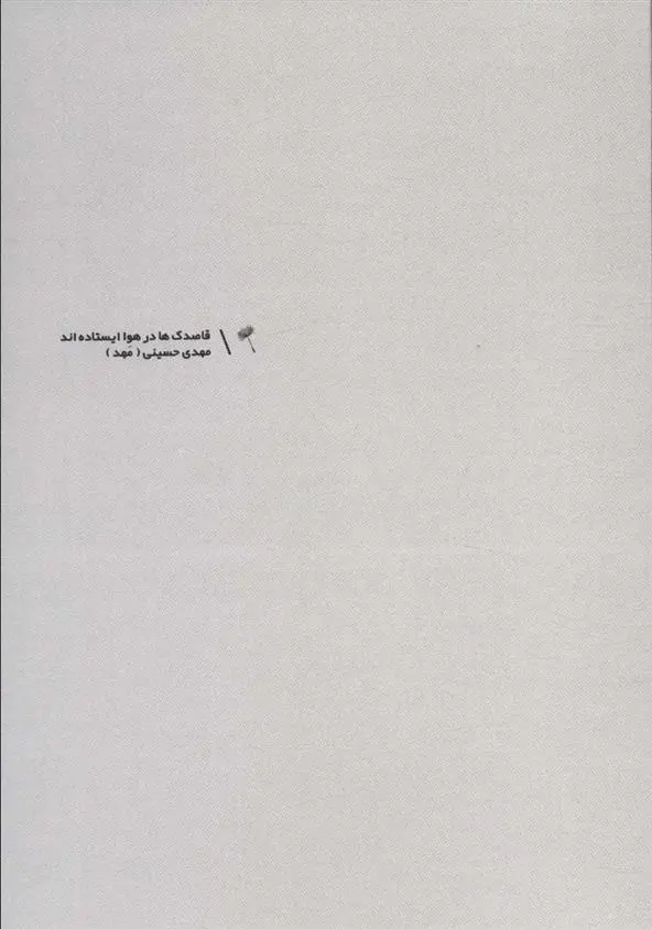 دانلود pdf کتاب قاصدک ها در هوا ایستاده اند مهدی حسینی (مهد)