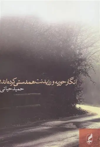 دانلود pdf کتاب انگار حوریه و رزیدنت همدستی کرده اند! حمید حیاتی