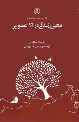 دانلود pdf کتاب معنای زندگی در 16 تصویر رابرت سولومون