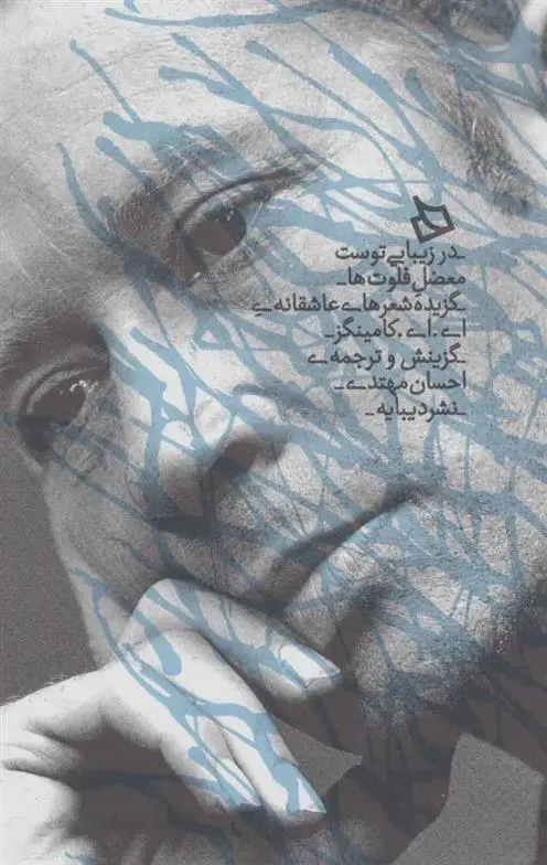 دانلود pdf کتاب در زیبایی توست معضل فلوت ها ای ای کامینگز