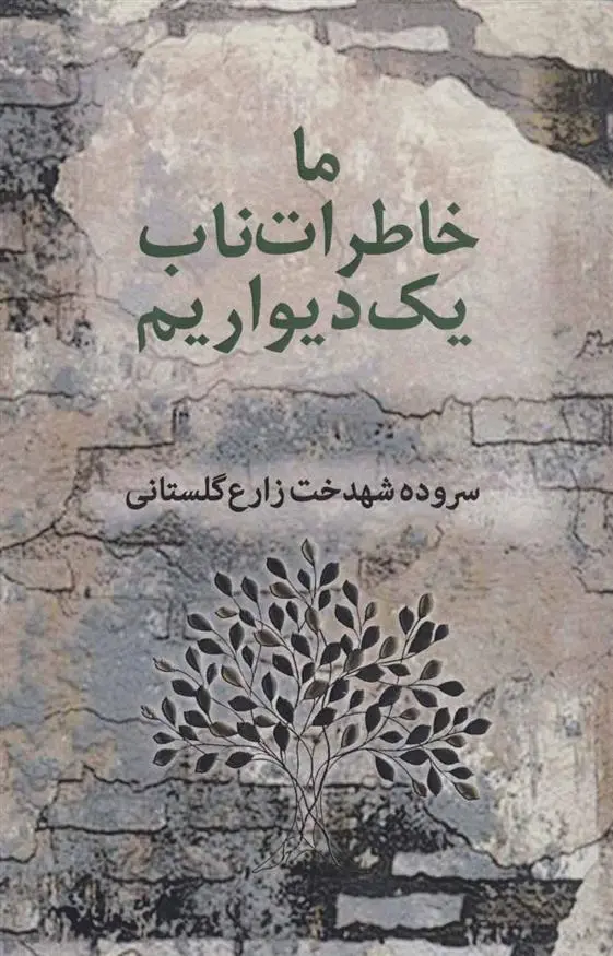 دانلود pdf کتاب ما خاطرات ناب یک دیواریم شهدخت زارع گلستانی