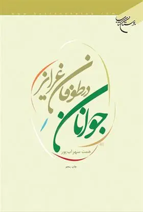 دانلود pdf کتاب جوانان در طوفان غرایز همت سهراب پور