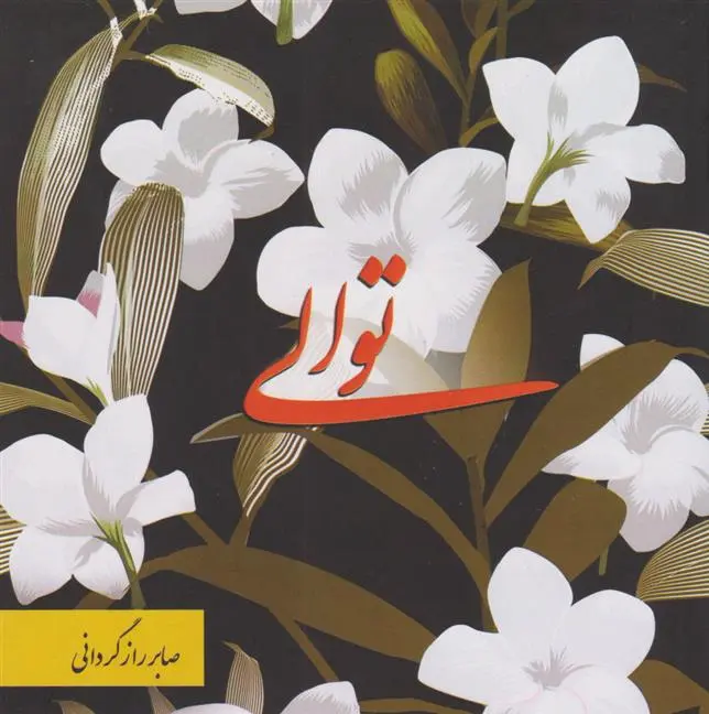 دانلود pdf کتاب توالی صابر رازگردانی