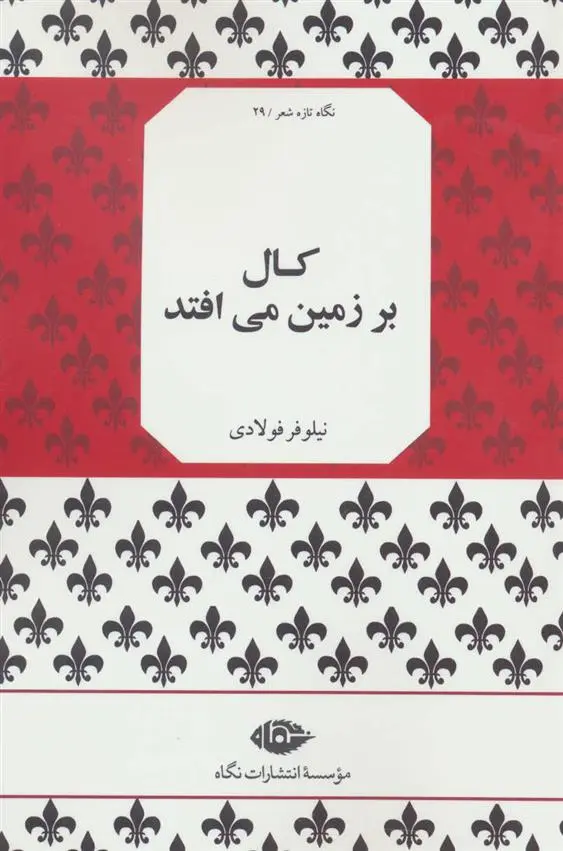 دانلود pdf کتاب کال بر زمین می افتد نیلوفر فولادی