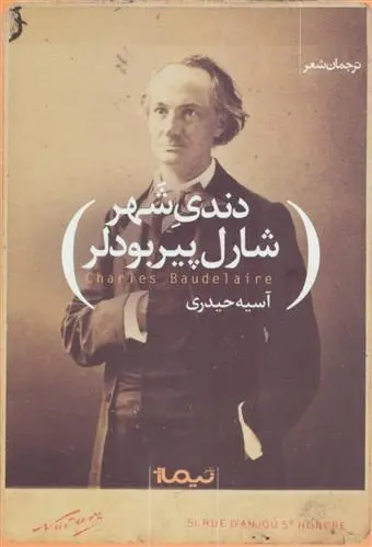 خرید و قیمت کتاب دندی شهر اثر شارل بودلر