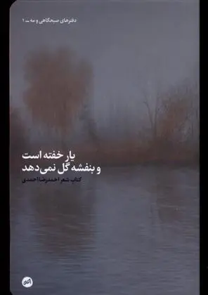 دانلود pdf کتاب یار خفته است و بنفشه گل نمی دهد احمدرضا احمدی