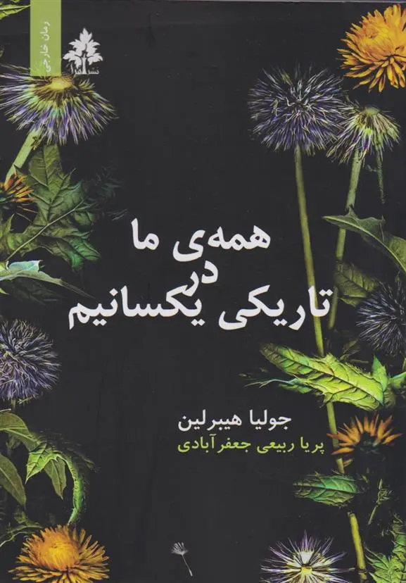 دانلود pdf کتاب همه ما در تاریکی یکسانیم جولیا هیبرلین