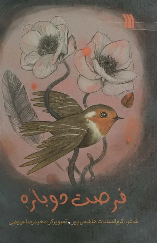 دانلود pdf کتاب فرصت دوباره اکرم السادات هاشمی پور