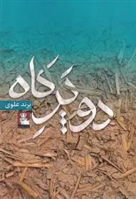 دانلود pdf کتاب دو پر کاه پرند علوی